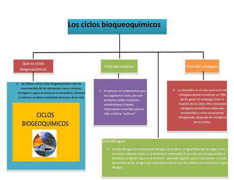 Cuadro Comparativo De Los Ciclos Biogeoquimicos Lingsma