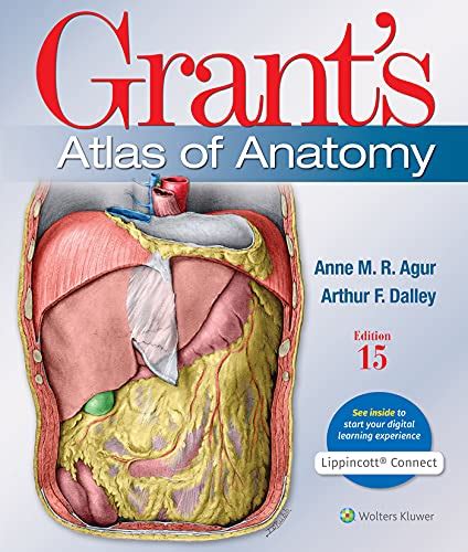 Grants Atlas Anatomy By Anne Agur Abebooks