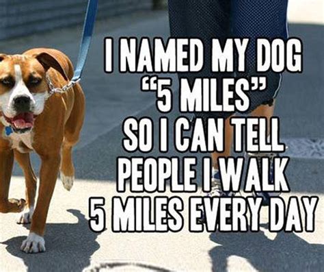 I Named My Dog 5 Miles So I Can Tell People I Walk 5 Miles Every Day