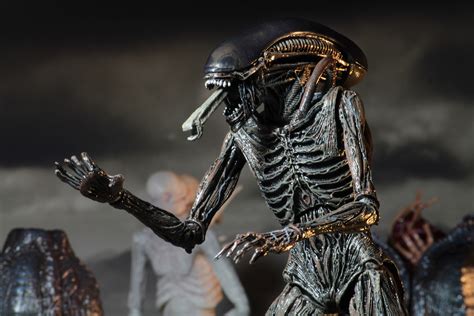 Neca alien vs predator arachnoid alien figure review. NECA Reveals Neomorph & Xenomorph Alien Covenant Figures ...
