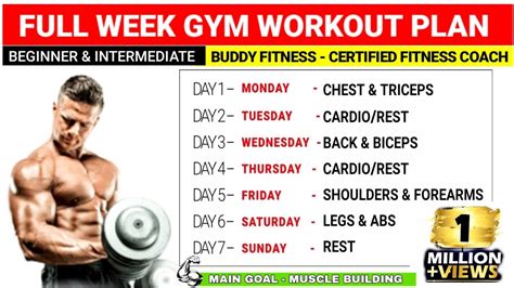 Full Week Gym Workout Plan For Muscle Gain Beginners And Intermediate Youtube