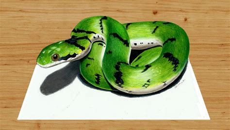 3d Colored Pencil Drawing Of Snake By Jasminasusak On Deviantart