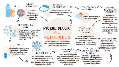 Mapa Mental Microbiologia