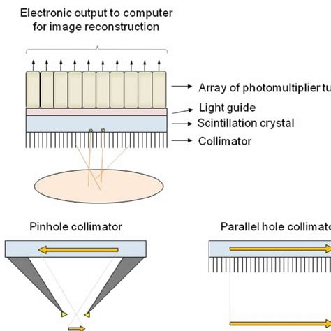 Basic Components Of A Gamma Camera Single Photons Are Emitted From A