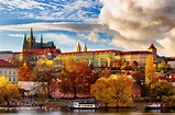 Prague Castle Tickets and Tours | musement