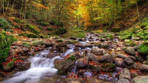 Stream Full Hd Wallpaper And Background Image 1920x1080 Id346347