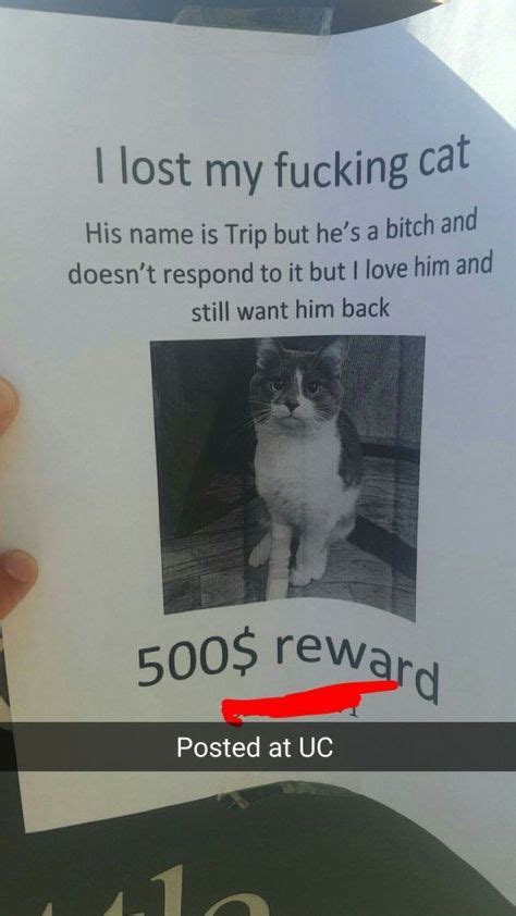 16 Brilliant And Hilarious Missing Cat Posters Bad Cats Missing Cat
