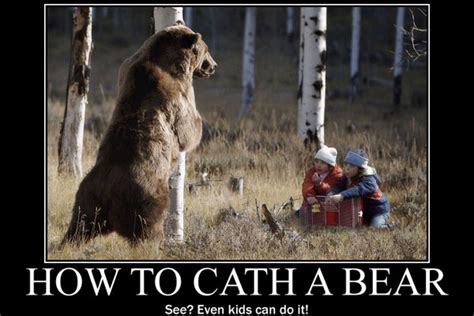 Funny Quotes About Bears Quotesgram