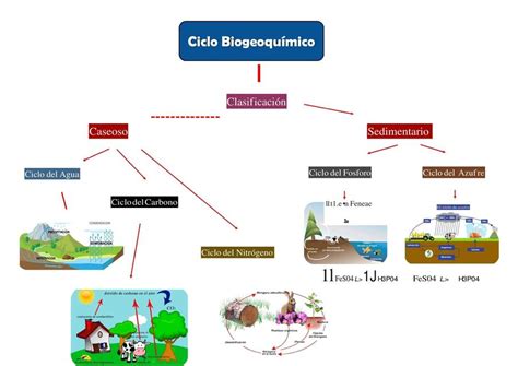 Top 70 Imagen Mapa Mental De Los Ciclos Biogeoquimicos Viaterramx