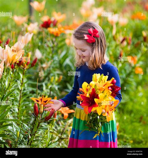 Cute Little Girl Picking Lily Flowers In Blooming Summer