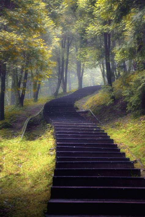 1 Tumblr Stairs Exterior Stairs Landscape
