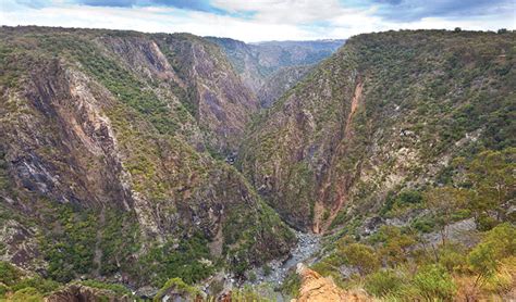The Green Gully Track Learn More Nsw National Parks