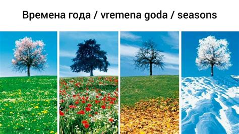 How To Pronounce Seasons In Russian Youtube