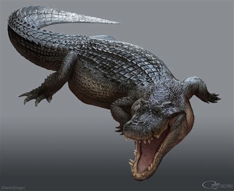 Deinosuchus Dinopedia Fandom Powered By Wikia