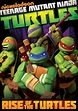 Teenage Mutant Ninja Turtles: Rise of the Turtles [DVD] - Best Buy