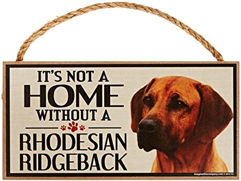 Discover The Perfect Products For Your Redbone Coonhound Rhodesian