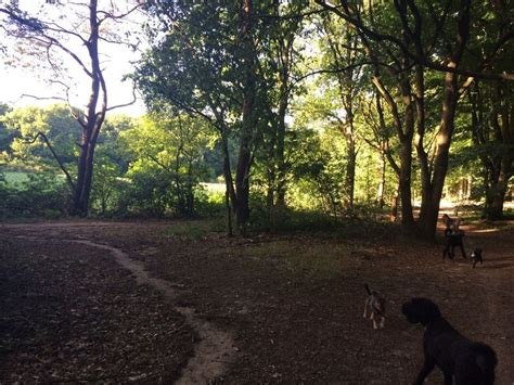 Honden mogen het hele jaar los op de noorderheide, het westerlijkste deel van de tafelbergheide (buiten de hekken) en op huizer eng. Honden los in Noorderheide, Tafelbergheide en Huizer Eng ...
