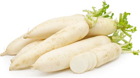 Radish Chinese Daikon Wiffens