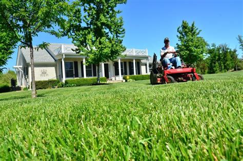 How To Hire The Best Lawn Care Company Near You