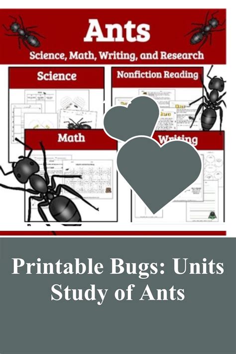 Printable Bugs Units Study Of Ants In 2021 Fun Worksheets For Kids