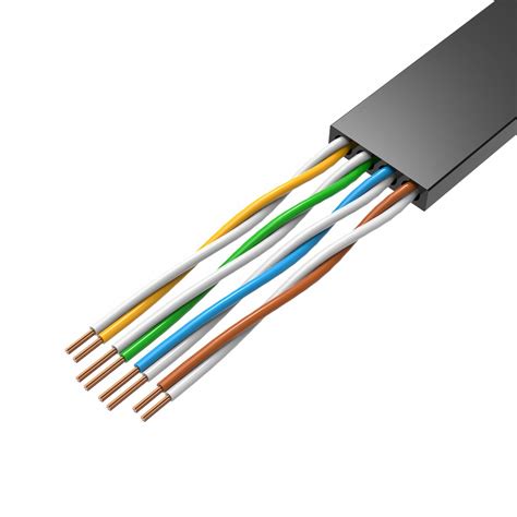 Sipu 1m 3m 5m rj45 cat5 cat5e cat 5e cat6 cat6a cat 6 utp computer network communicatioan patch cord cable. Vention Cat 6 UTP Flat Patch Cable Black 1.5m (IBABG) | EuroDK