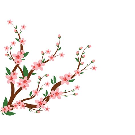 Cherry Blossom Card Vector Art Png Cherry Blossom Design On Unique