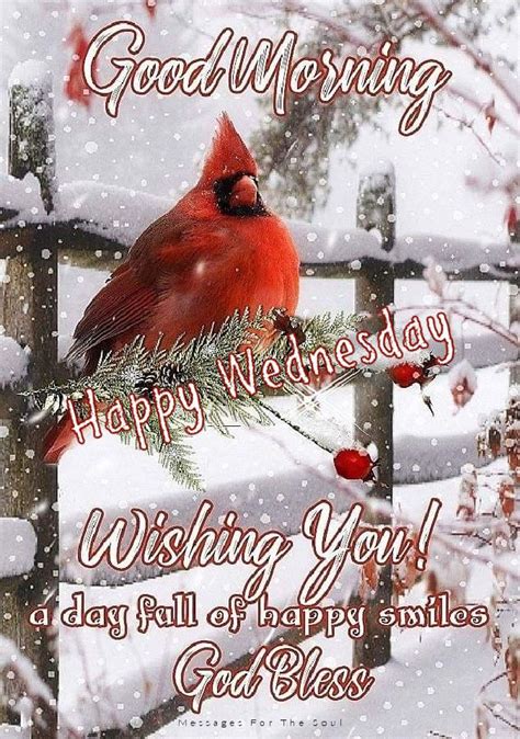 Cardinal In Snow Good Morning Happy Wednesday Pictures Photos And