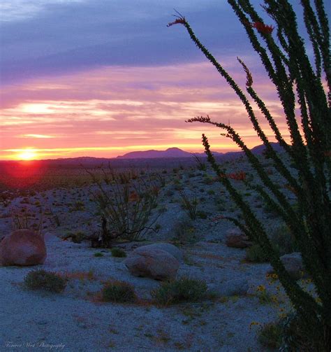 Desert Sunrise Photograph By David Broome Fine Art America