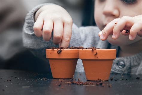Tips To Get Kids Gardening From Thames Valley Landscapes