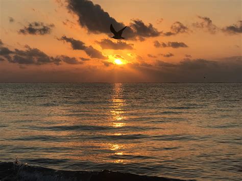 Holbox Sunset Mexico Yucatan Yucatan Peninsula Chichen Itza Tulum