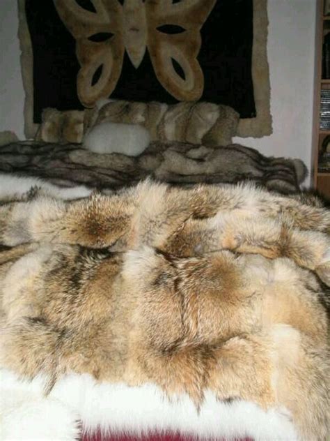 580 Best Images About Fur Blanket On Pinterest Coyotes Silver Foxes