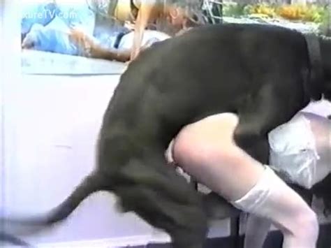 Dog Provides Fuck To A Nude Girl Xxx Femefun