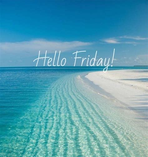 Happy Friday Coastal Lovers Black Friday Funny Quotes Friday Morning