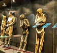 Museo de las Momias (Guanajuato) - 2023 Lo que se debe saber antes de ...