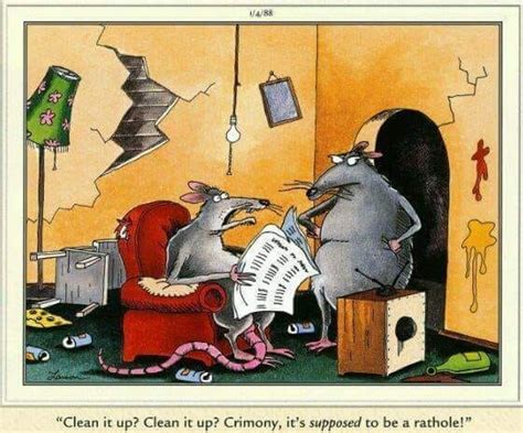 Pin By Lisa Fuselier On Comics Cartoon Rat Far Side Cartoons Gary