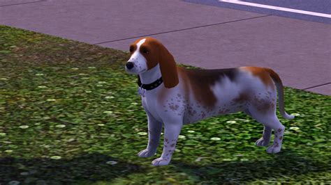 Mod The Sims Hannah And Watson The Basset Hounds