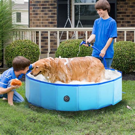 Top 10 Best Dog Bath Tubs In 2021 Reviews Guidew