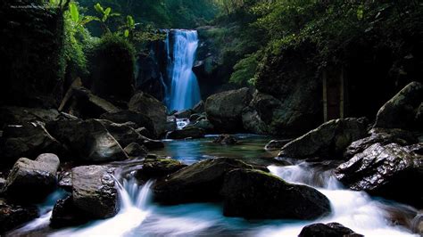 Wallpaper Landscape Forest Waterfall Rock Nature River Wilderness Jungle Stream