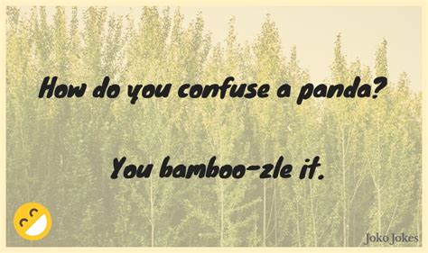 46 Bamboo Jokes And Funny Puns Jokojokes