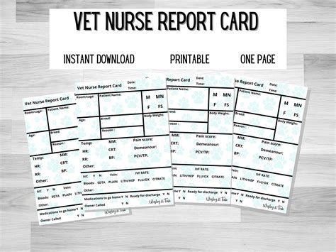 Digital Download Vet Nurse Report Card Tpr Assessment Etsy