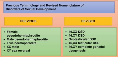 Disorders Of Sexual Development Abdominal Key