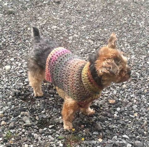 Quick And Easy Small Dog Sweater Small Dog Sweaters