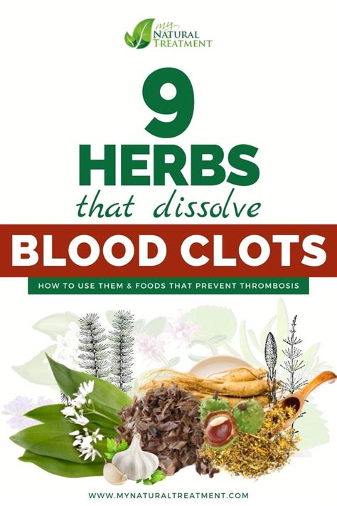 9 Amazing Herbs That Dissolve Blood Clots Blood Thinners