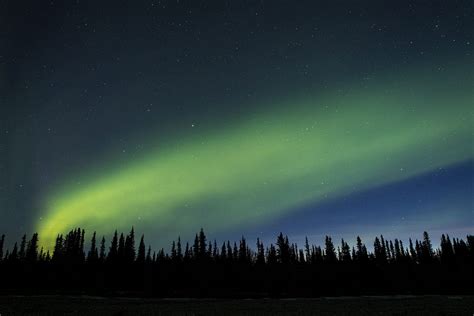 Aurora Borealis Near Denali National Park Alaska