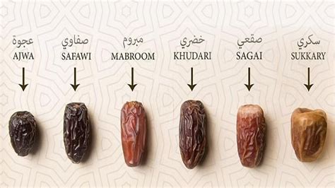 Dates For The Holy Month Of Ramadan