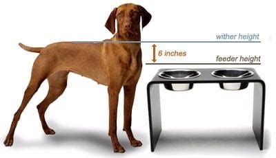 Stand your dog against a wall. How to Measure for Raised Pet Food Bowls and Why
