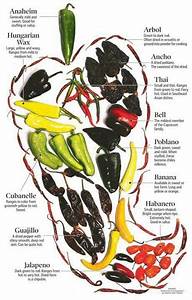 Pepper Chart Salsa Picante Cooking And Baking Cooking Tips Cooking