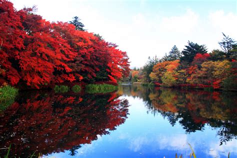 Koshinetsu Region Autumn Foliage Special Feature Featured