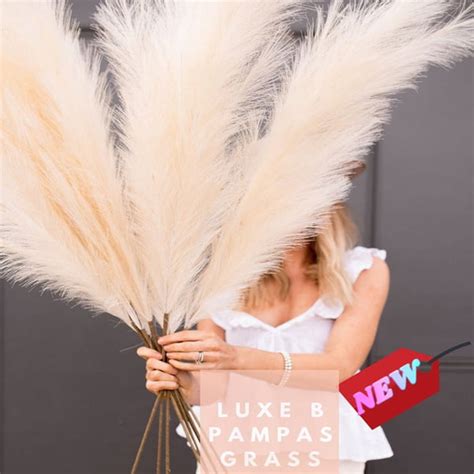 Fithood Pcs Inch Pampas Grass Decor Tall Pompous Grass Large Fluffy