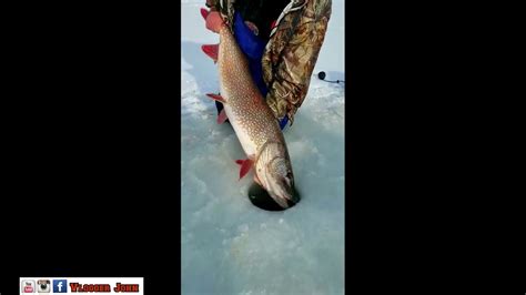 26lb Monster Pike Through The Ice And Release Featuring Robert